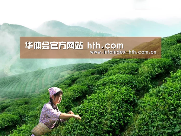华体会官方网站_hth.com