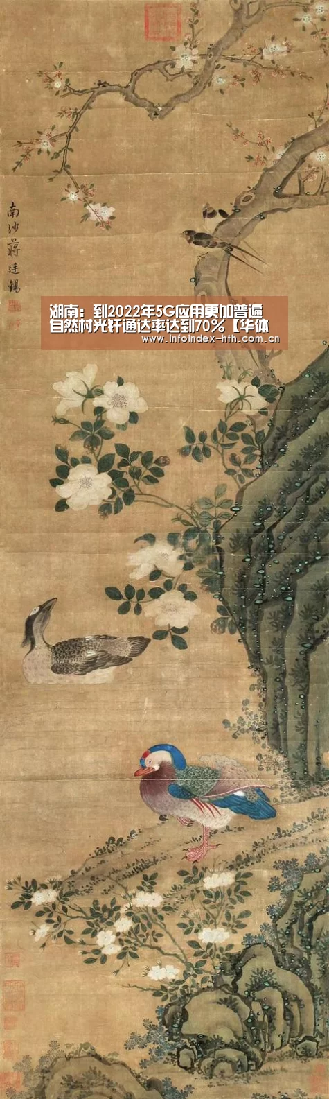 华体会官方首页