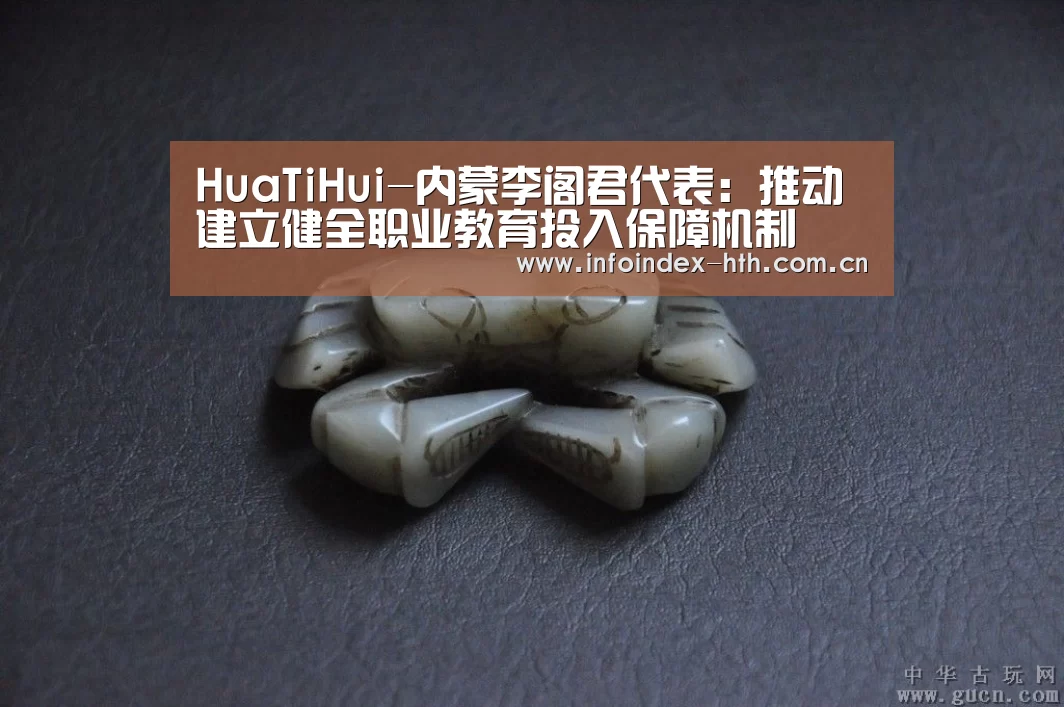 HuaTiHui-内蒙李阁君代表:推动建立健全职业教育投入保障机制(图4) 华体会官方首页