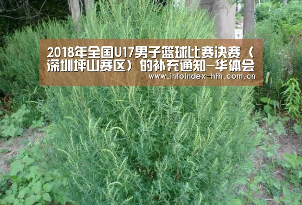 2018年全国U17男子篮球比赛决赛(深圳坪山赛区)的补充通知-华体会(图1) 华体会官方首页