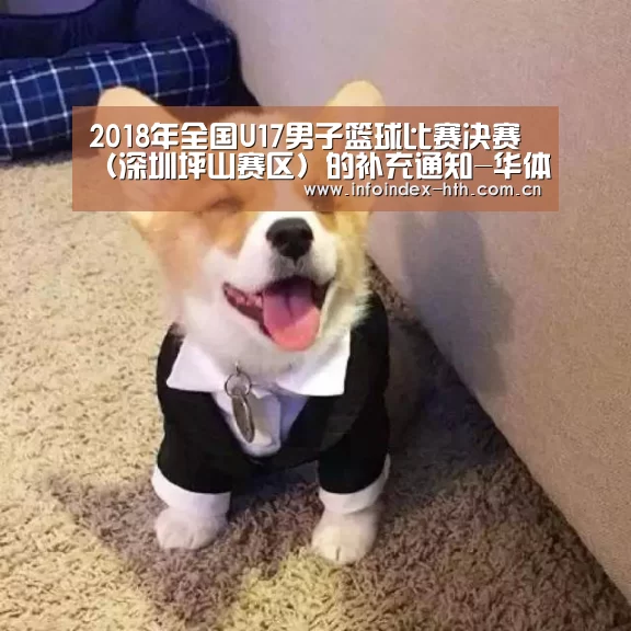 2018年全国U17男子篮球比赛决赛(深圳坪山赛区)的补充通知-华体会(图3) 华体会