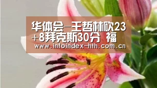 华体会
