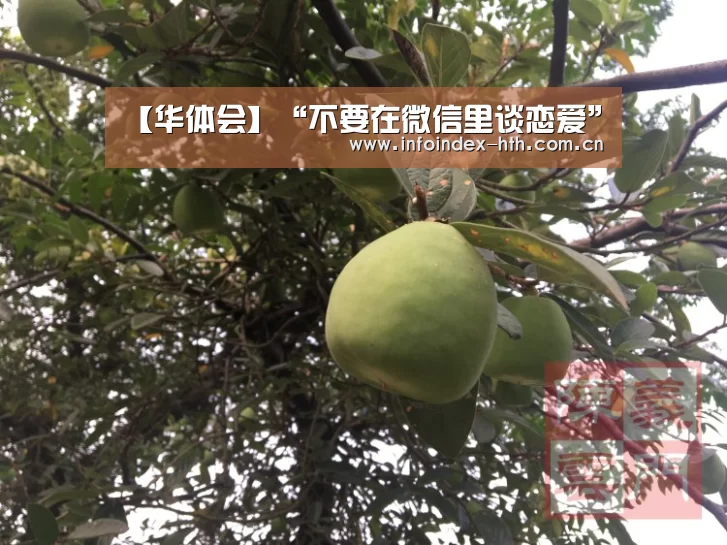 【华体会】“不要在微信里谈恋爱”(图3) 华体会官方首页
