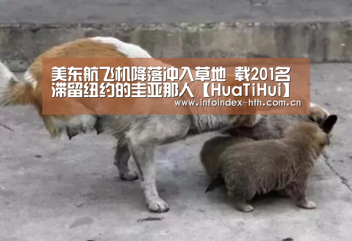 美东航飞机降落冲入草地 载201名滞留纽约的圭亚那人【HuaTiHui】(图2) 美东航飞机降落冲入草地 载201名滞留纽约的圭亚那人【HuaTiHui】(图2)
