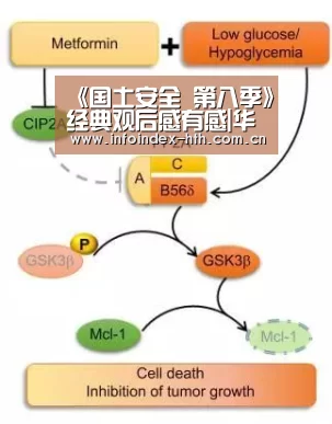 《国土安全 第八季》经典观后感有感|华体会(图1) 华体会