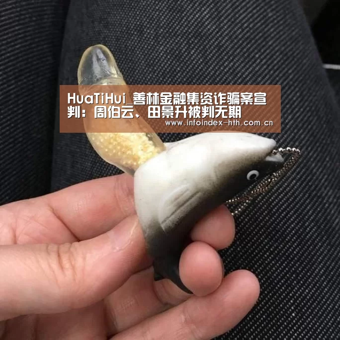 HuaTiHui_善林金融集资诈骗案宣判:周伯云、田景升被判无期(图3) 华体会官方首页