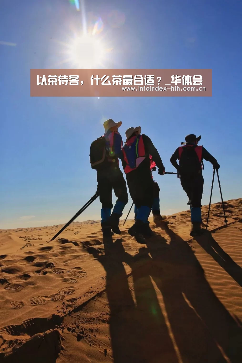以茶待客,什么茶最合适?_华体会(图2) 华体会官方首页