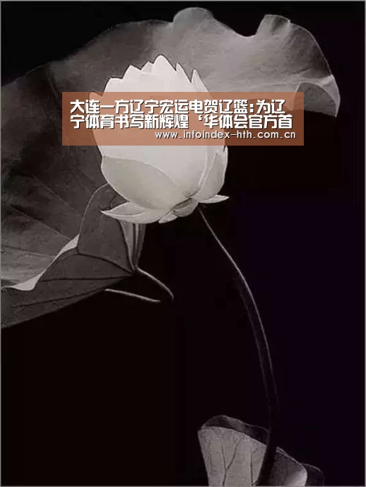 大连一方辽宁宏运电贺辽篮:为辽宁体育书写新辉煌‘华体会官方首页’(图3)