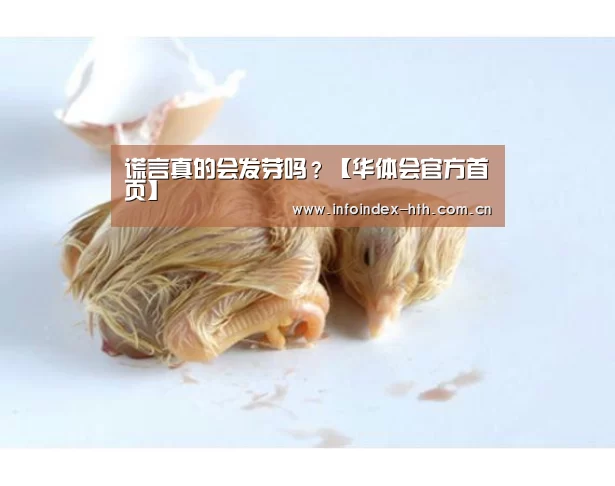 华体会